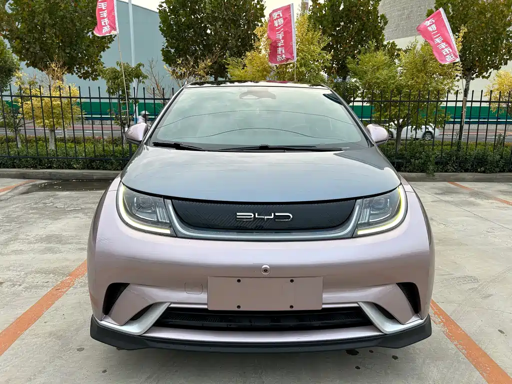 Dolphin 2021 401km Knight Edition