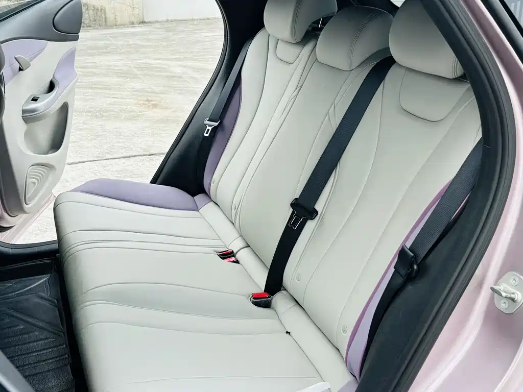 Dolphin 2021 405km fashion Version