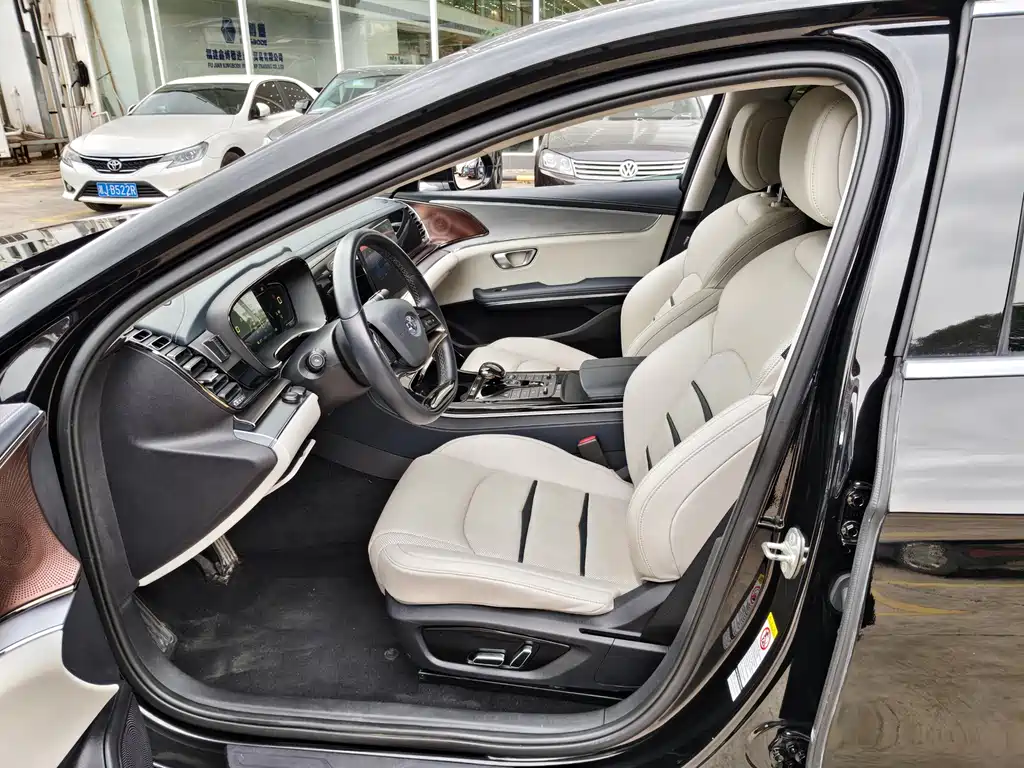 BYD e9 2021 Business Edition