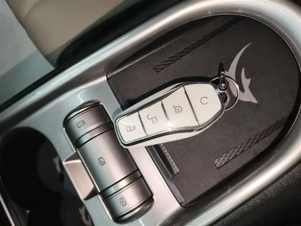 Dolphin 2025 420km Free Version