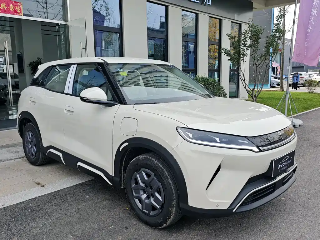 Yuan UP 2025 model 301KM pilot type