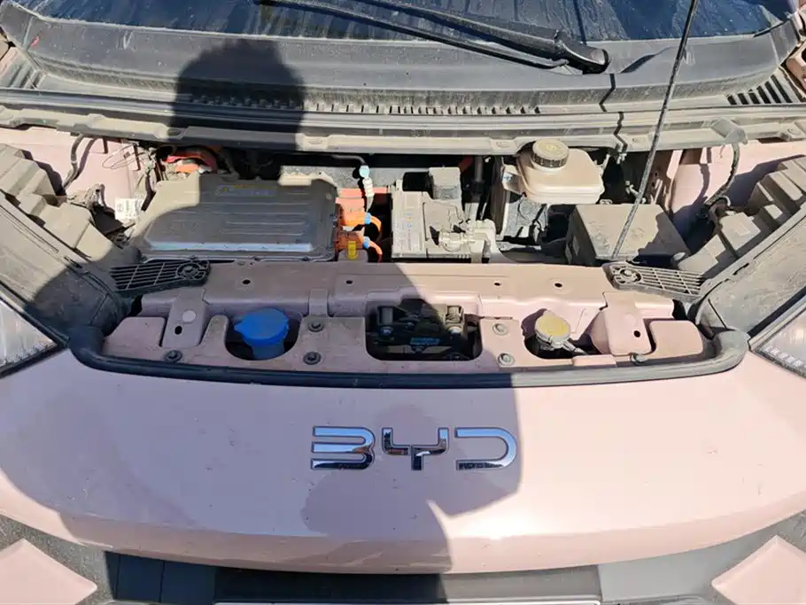 Seagull 2024 Glory Edition 305km Vitality Edition