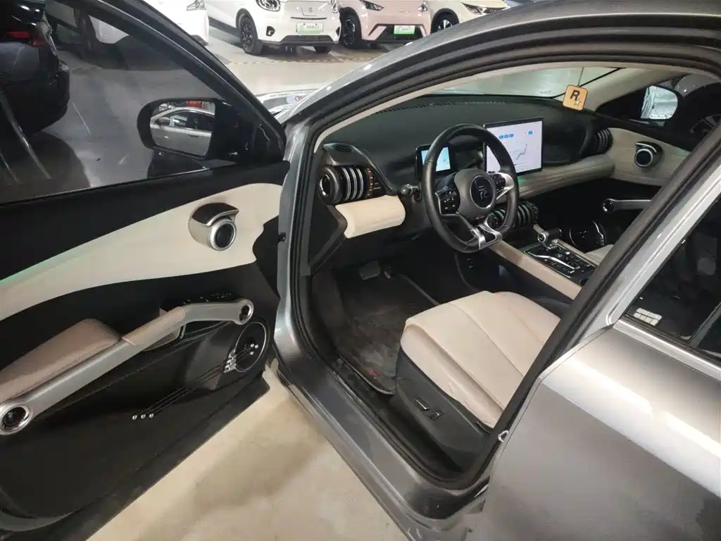 Yuan PLUS 2024 Glory Version 430KM Leading Type