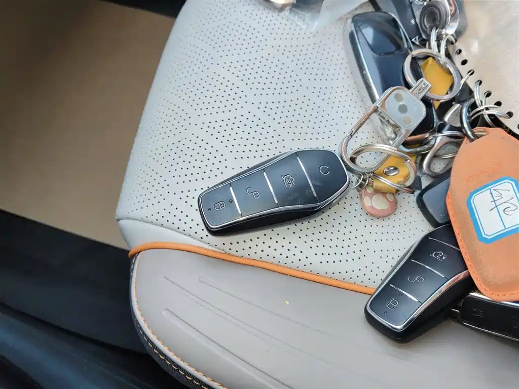 Yuan PLUS 2024 Glory Version 510KM Leading Type