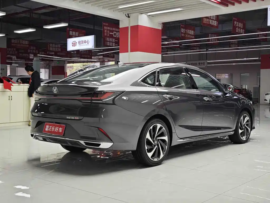 Ruicheng PLUS 2023 1.5T DCT flagship model