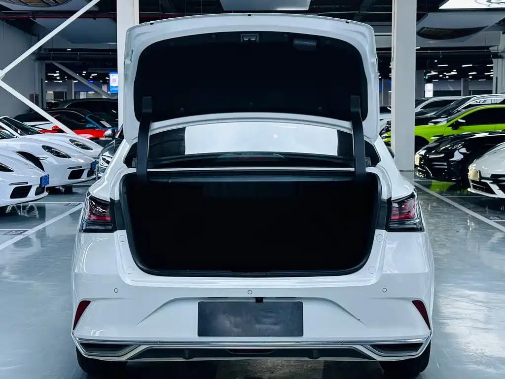 Ruicheng PLUS 2023 1.5T DCT Premium Type