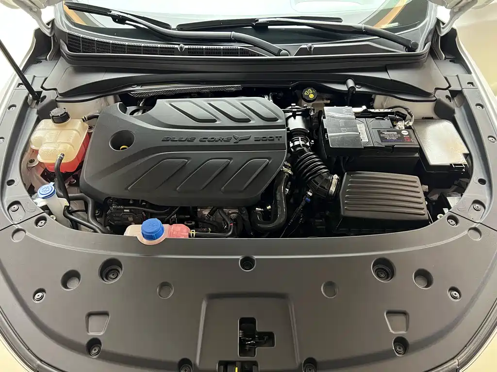 Ruicheng PLUS 2023 1.5T DCT Pilot Type