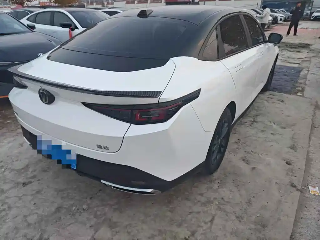 Yida 2023 Blue Whale NE 1.5T GDI DCT Pilot Type