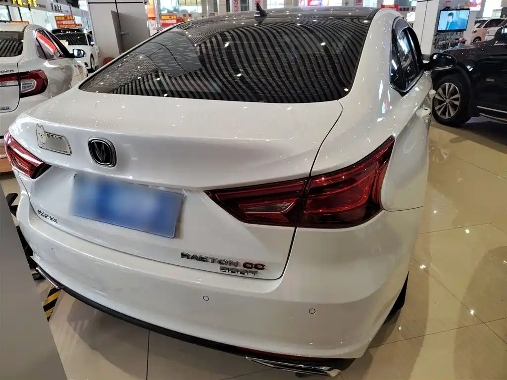 Ruicheng CC 2022 Blue Whale Version 1.5T DCT Luxury