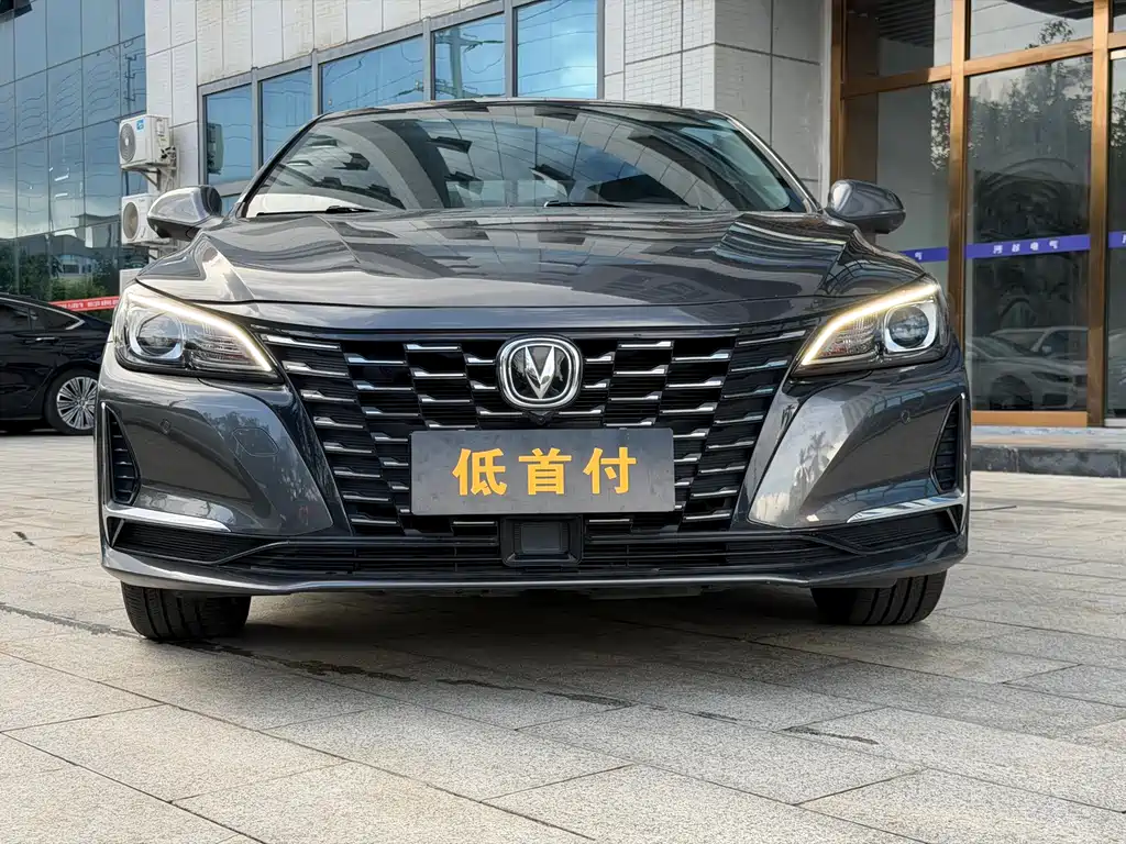 Ruicheng CC 2021 Blue Whale Version 1.5T DCT Premium Type