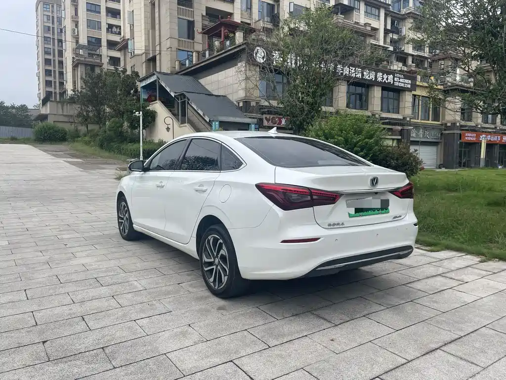 Yidong New Energy 2019 EV460 Shared Version