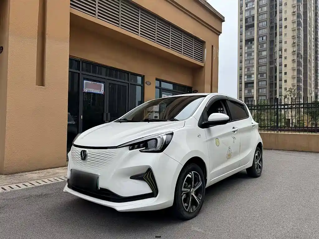 Changan Benben E-Star 2020 Heart Edition Ternary Lithium