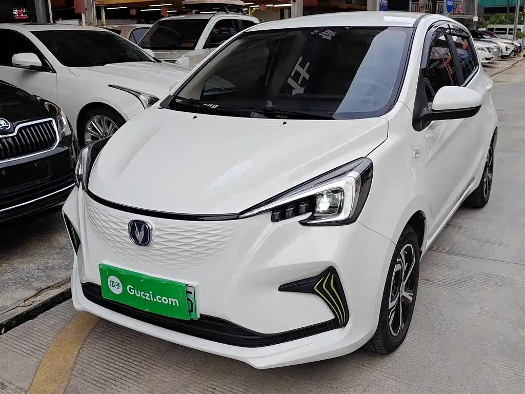 Changan Benben E-Star 2020 Heart Edition Ternary Lithium