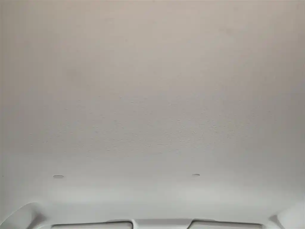 Changan Benben E-Star 2020 Heart Edition Ternary Lithium