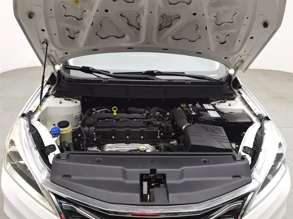 Yidong DT 2019 1.6L manual Comfort Type Country VI