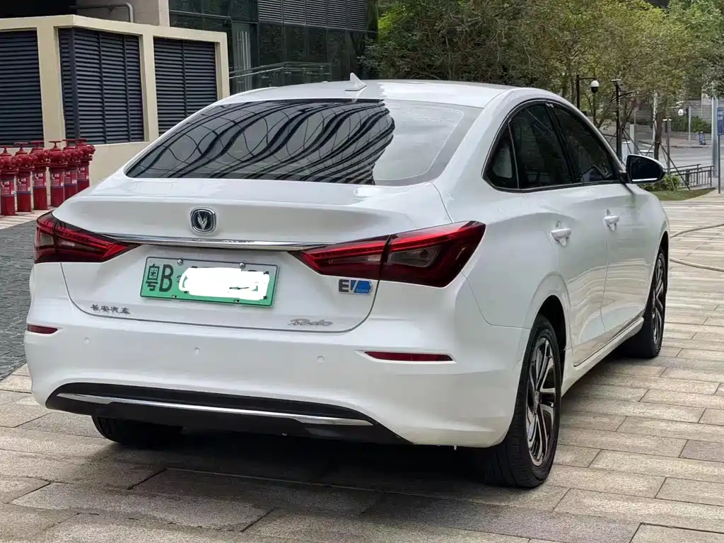 Yidong New Energy 2019 EV460 Smart Edition