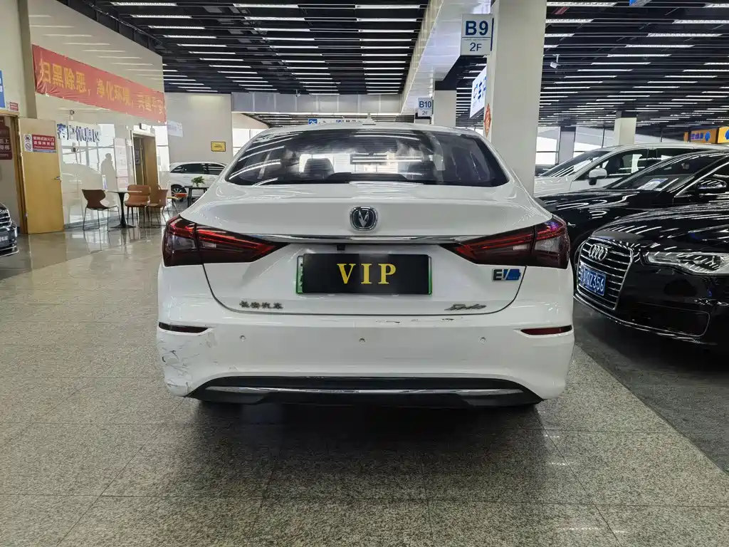 Yidong New Energy 2019 EV460 Smart Collar Edition