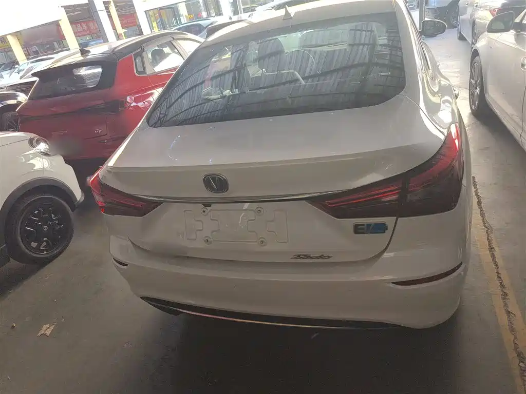 Yidong New Energy 2019 EV460 Smart Collar Edition