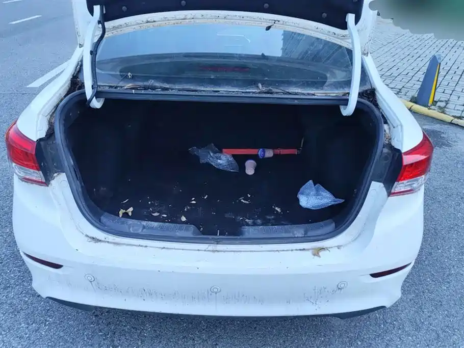 Yuexiang 2019 1.5L DCT Comfortable Country VI