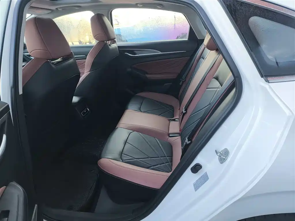 Yidong 2024 PLUS Blue Whale NE 1.4T GDI DCT high-energy version