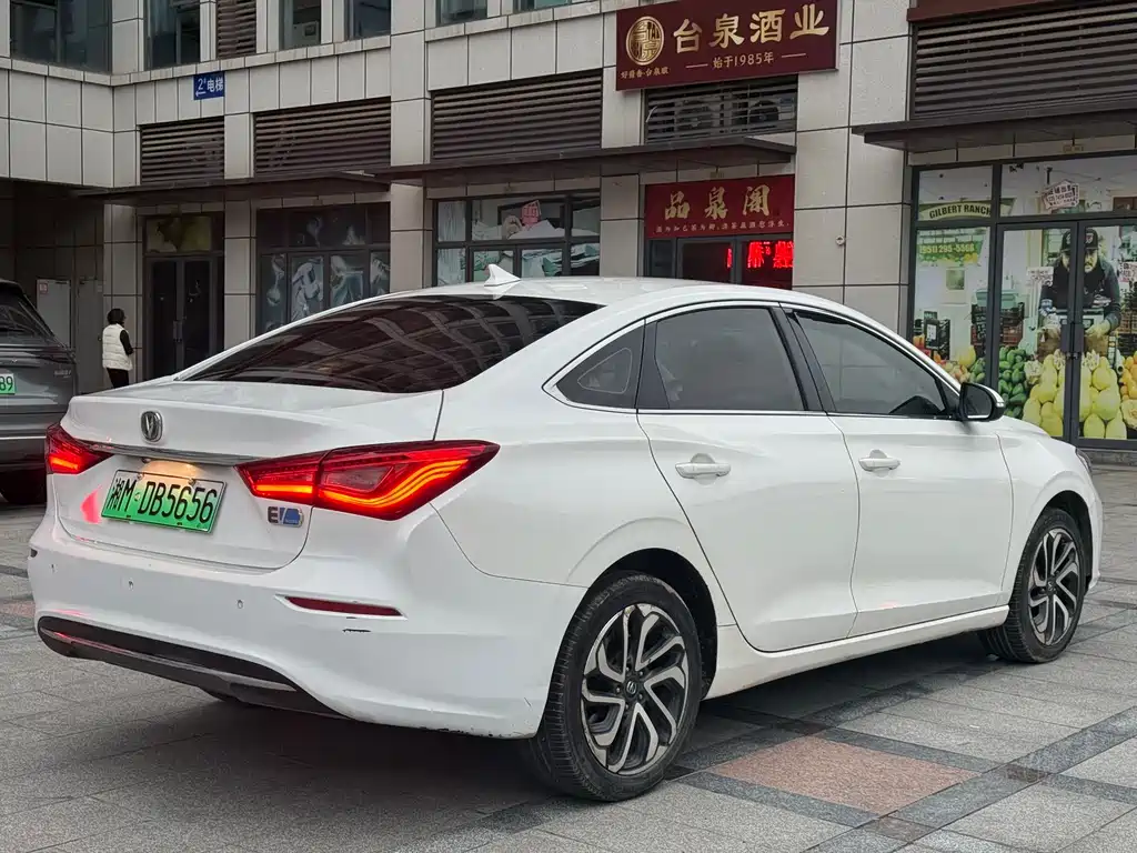 Yidong New Energy 2019 EV460 Smart Edition