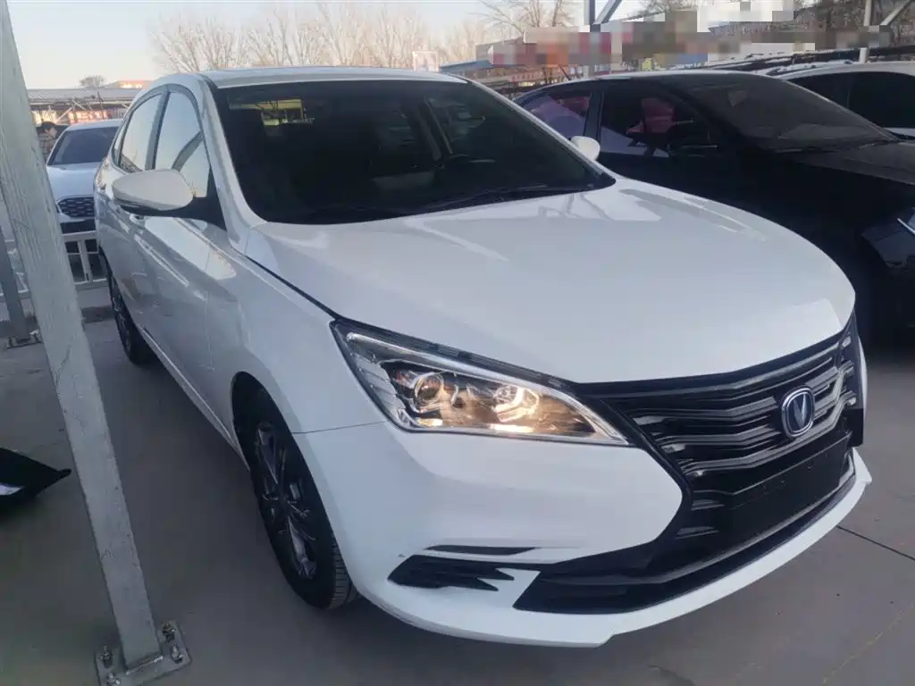 Yidong DT 2021 1.6L automatic luxury Type