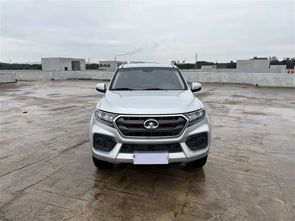 Fengjun 7 2019 2.0T diesel two-wheel drive elite national VI big double GW4D20M