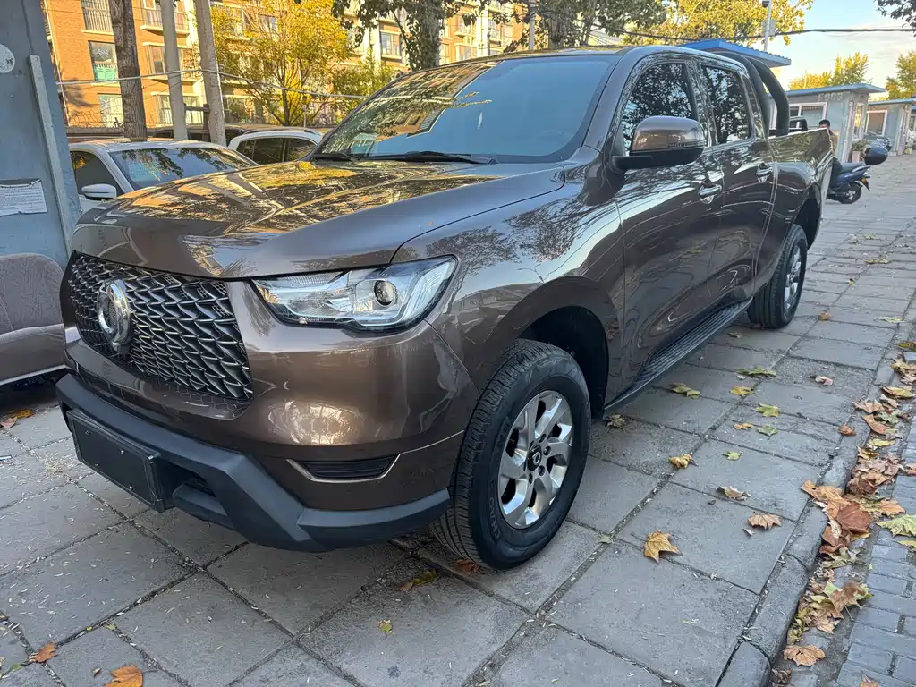 Gun 2021 2.0T commercial version automatic gasoline two-wheel drive pilot long box GW4C20B