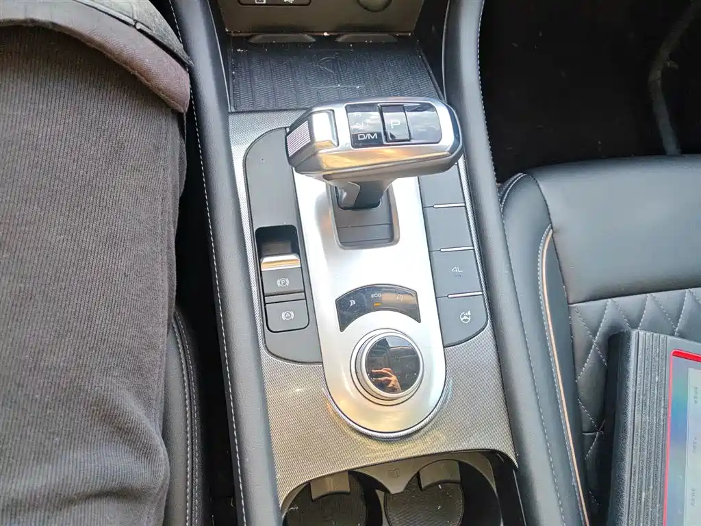 Gun 2021 2.0T passenger global version automatic gasoline four-wheel drive comfort standard box GW4C20B