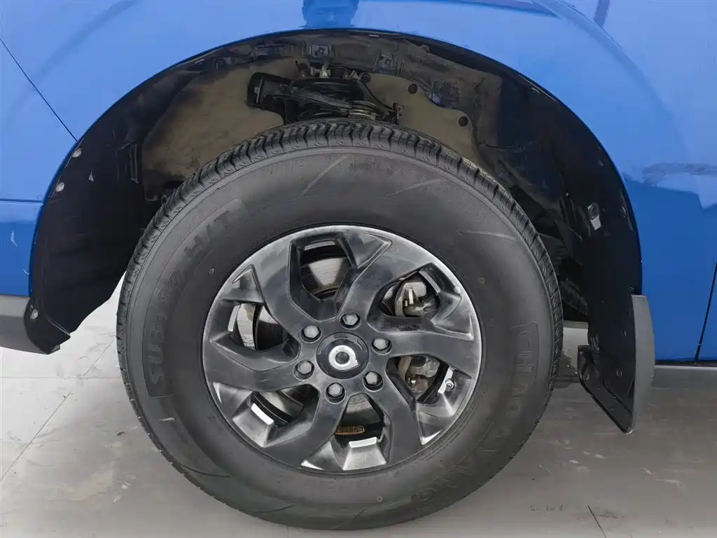 Gun 2021 2.0T commercial version manual diesel two-wheel drive elite long box GW4D20M