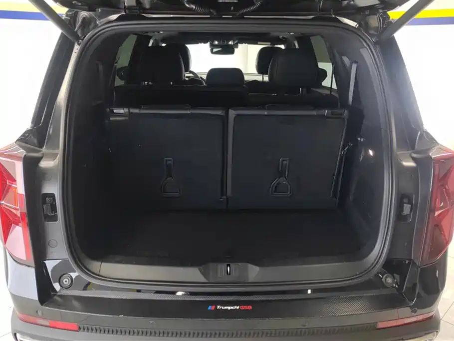 Trumpchi GS8 2022 Pilot Series 2.0 TGDI Two-wheel drive Premium Edition (seven seats)