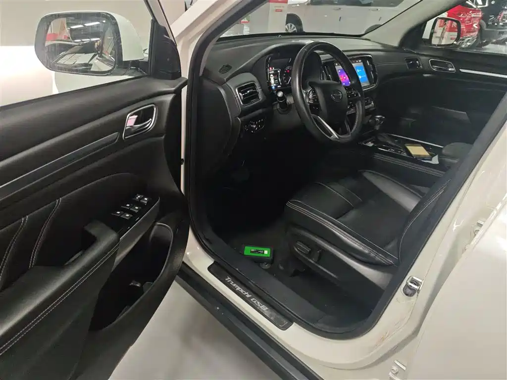 Trumpchi GS8 2020 390T two-wheel drive deluxe edition (seven seats)