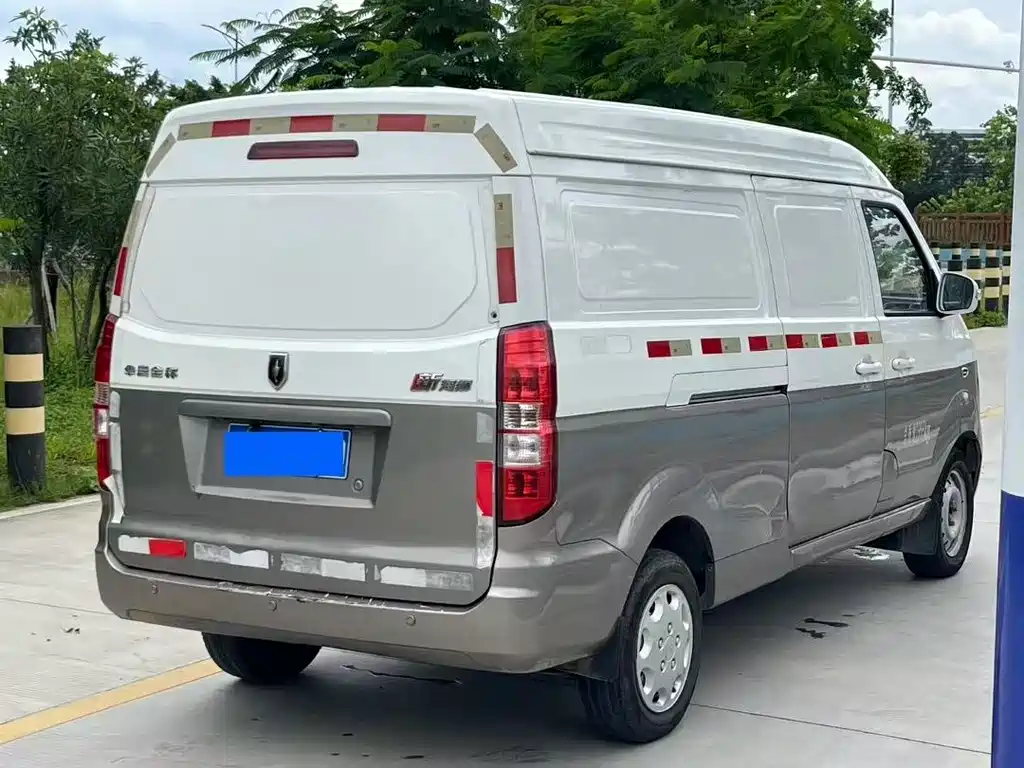 New Sea Lion X30L 2019 1.5L Cargo Cargo Wealth Edition Country VI SWC15M