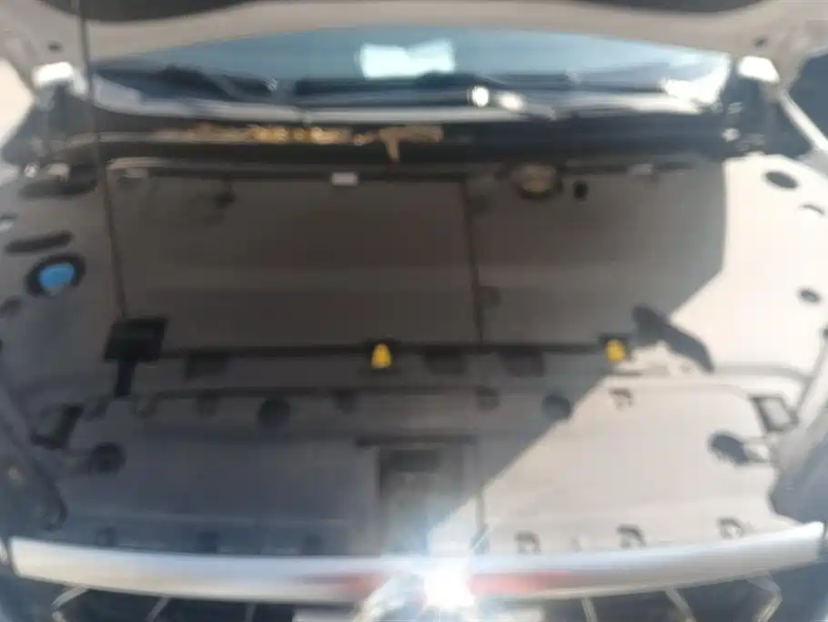 Seahorse 7X 2020 1.6 TGDI automatic flagship type