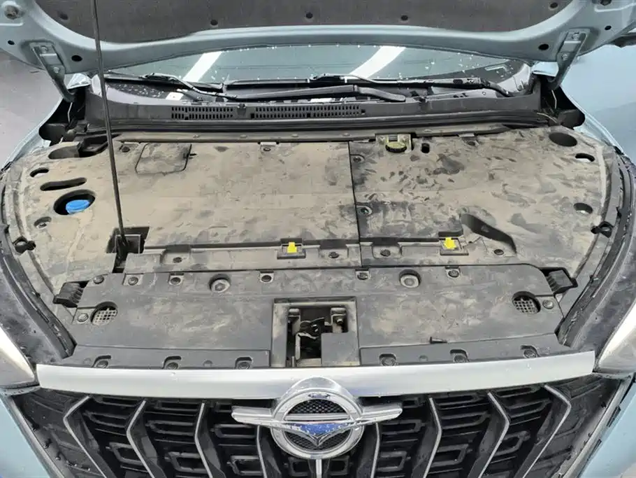 Seahorse 7X 2020 1.6 TGDI automatic luxury type