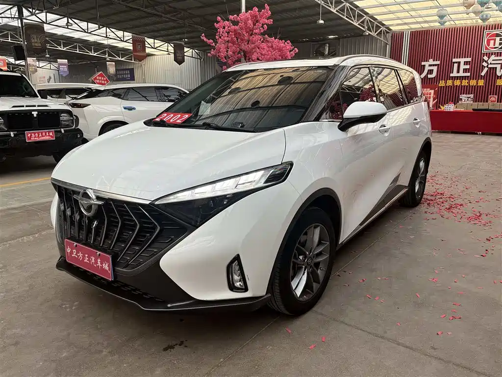 Seahorse 7X 2020 1.6 TGDI automatic luxury type