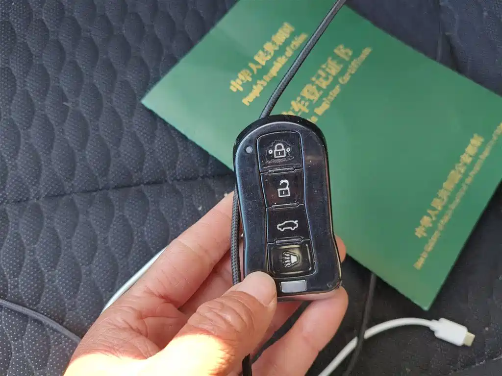 Seahorse 8S 2020 model 1.6 TGDI automatic elite type