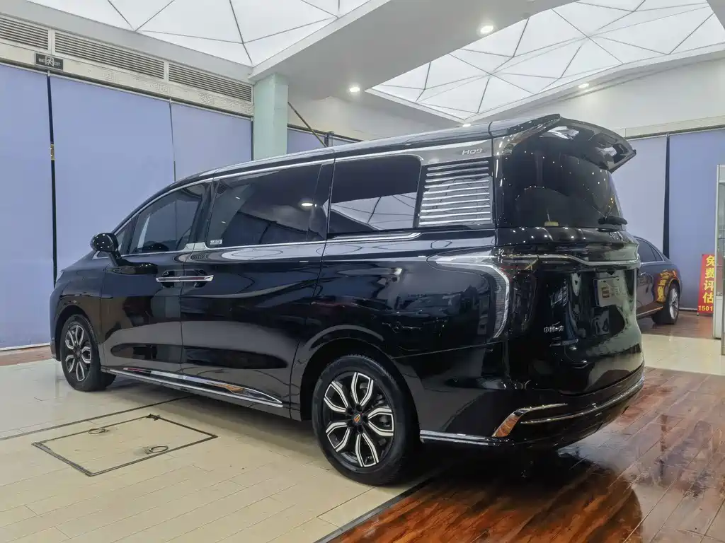 Hongqi HQ9 2023 Model 2.0T Zhilian Qichang Version