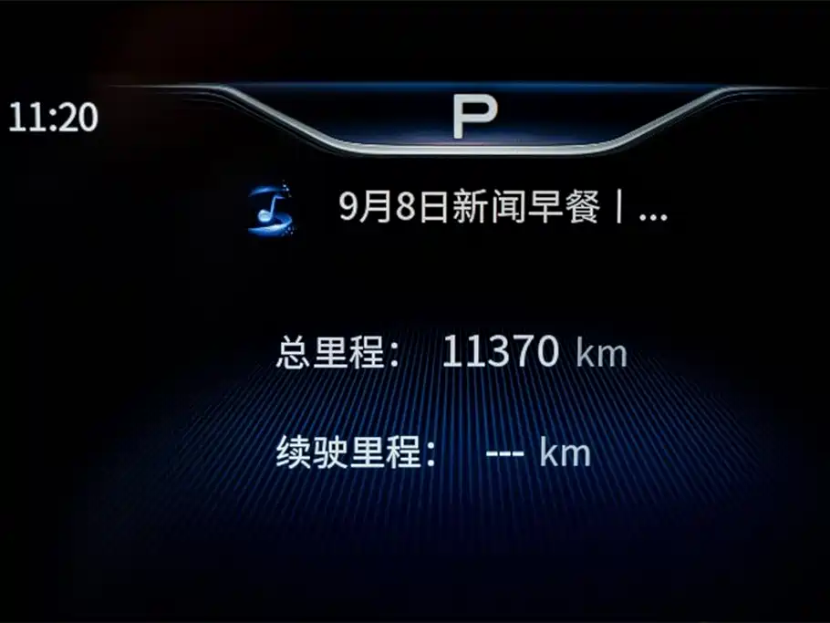 Hongqi HQ9 2023 Model 2.0T Zhilian Flag Enjoy Edition