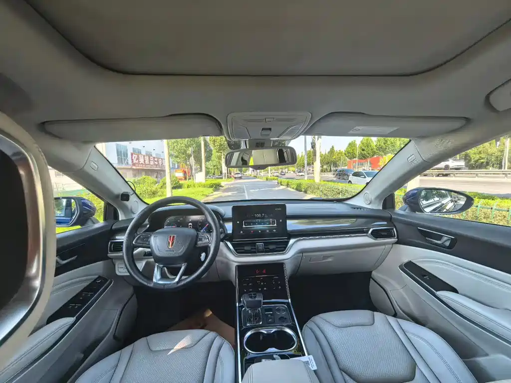 Hongqi E-HS3 2019 Zhilian Qiyue two-wheel drive version