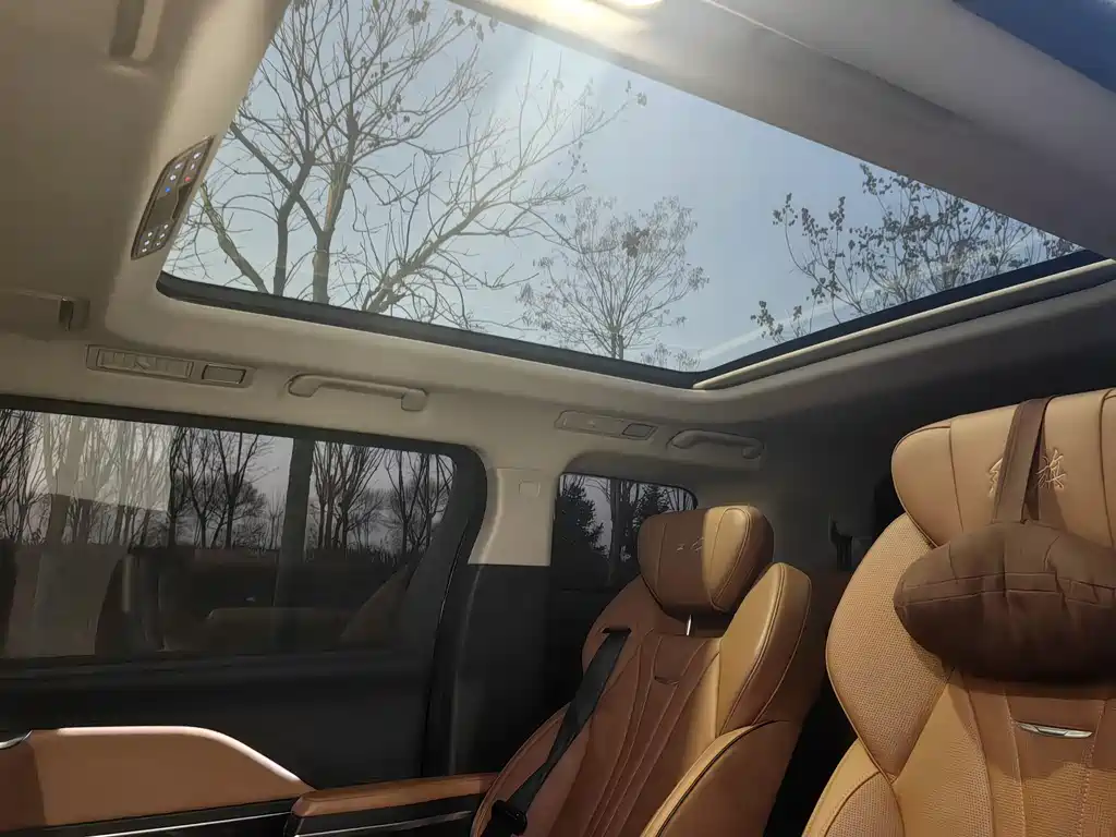 Hongqi HQ9 2023 Model 2.0T Zhilian Flag Enjoy Edition