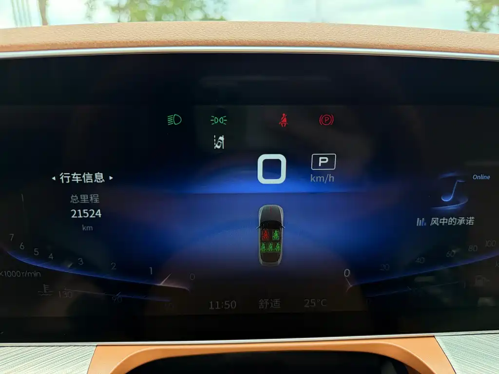 Hongqi H9 2022 Model 3.0T Zhilian Qichang Version