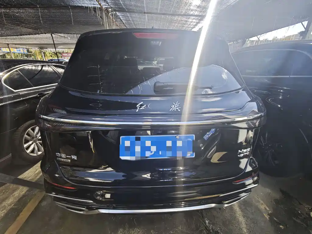 Hongqi HS5 2025 2.0T four-wheel drive Qixiang Pro version