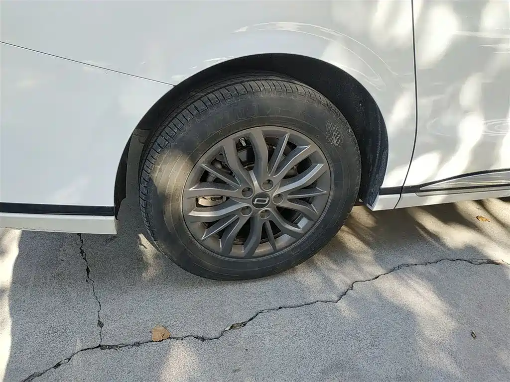 Pentium M9 2023 2.0T Exclusive Type