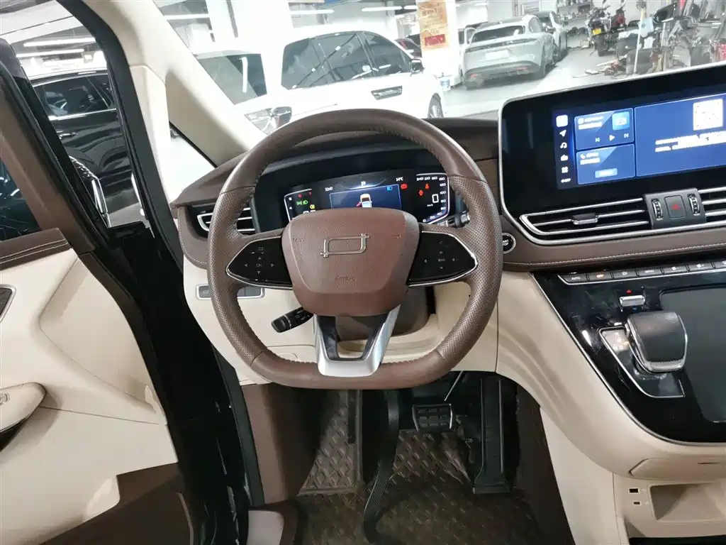 Pentium M9 2023 2.0T Exclusive Type