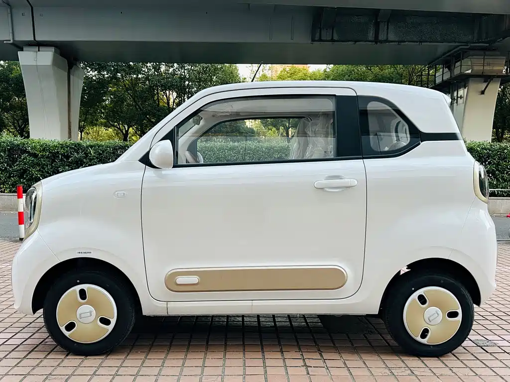 Pentium Pony 2026 222km Colorful Horse