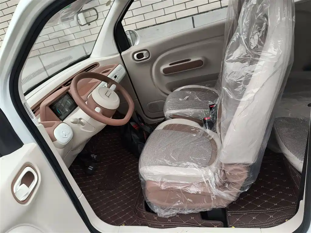 Pentium Pony 2025 222km Smart Horse