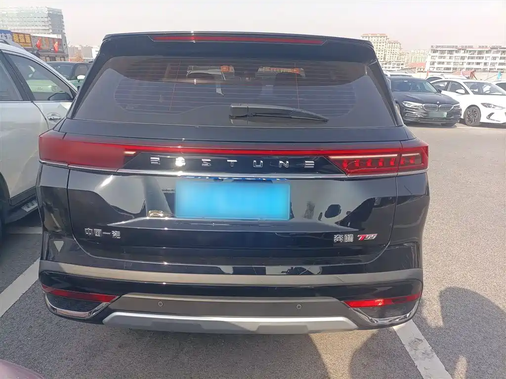 Pentium T99 2023 2.0T automatic exclusive type (6AT)