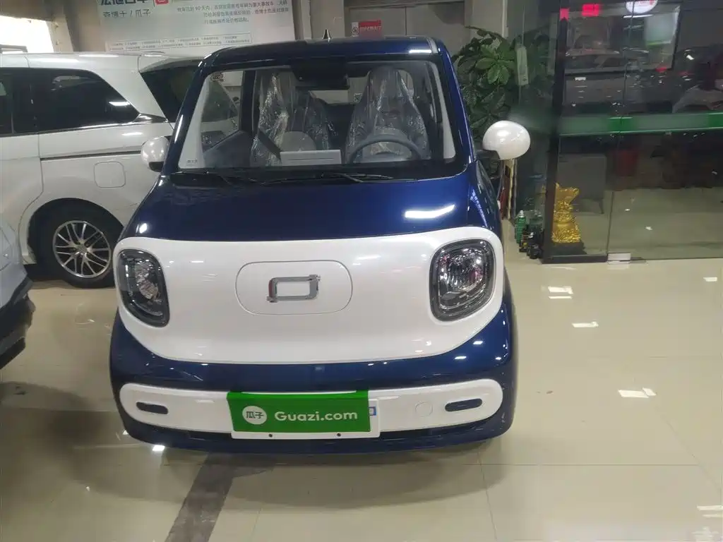 Pentium Pony 2025 222km Smart Horse