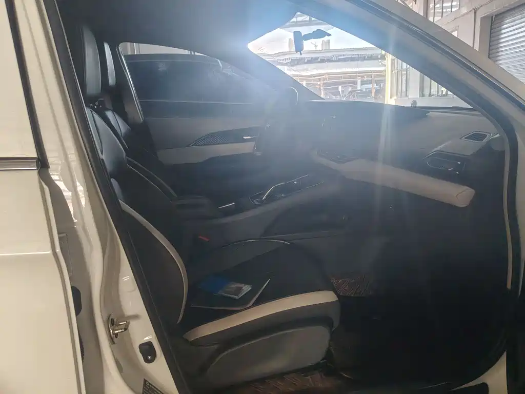 Dongfeng Fengshen E70 2021 500 Pro Super Exclusive Edition